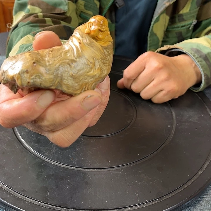柏木（崖柏）崖松乐乐
