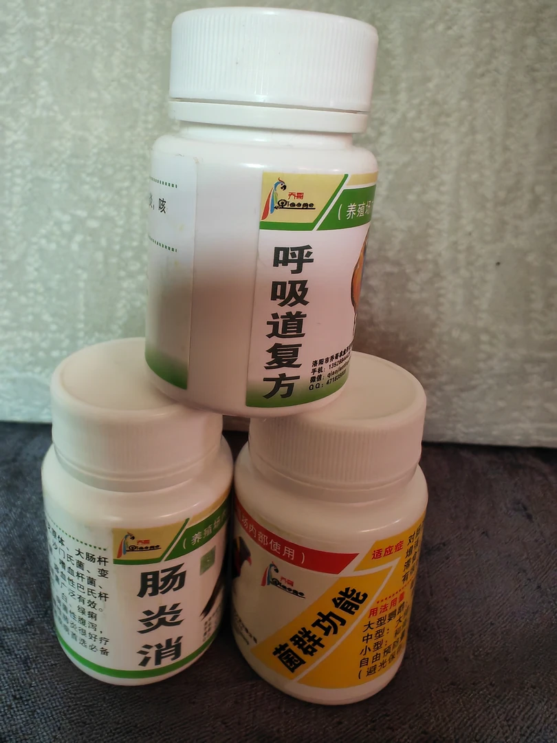 鹦鹉鸟粮驯养健康诊疗一对一咨询