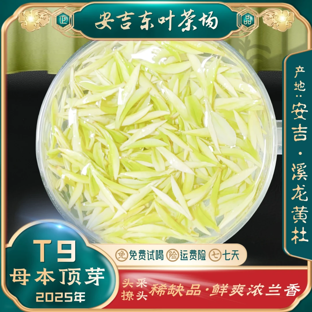 【母本顶芽T9】2025头采特级顶芽新茶高白化安吉溪龙白茶鲜爽浓兰香