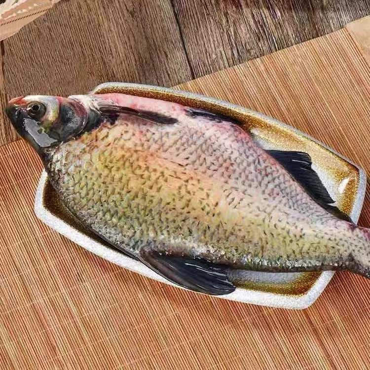 苏北里下河鳊鱼原生态新鲜大鳊鱼淡水活鱼现杀真空保鲜