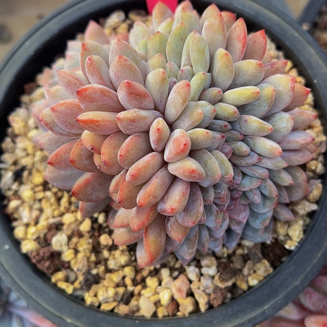 @****～aaaaaaaaaaaa08