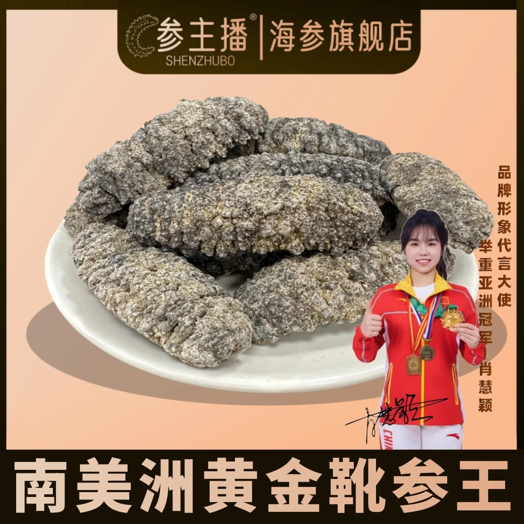 shenzhubo/参主播15头以内南美黄金靴参纯淡干南美刺参稀缺高货