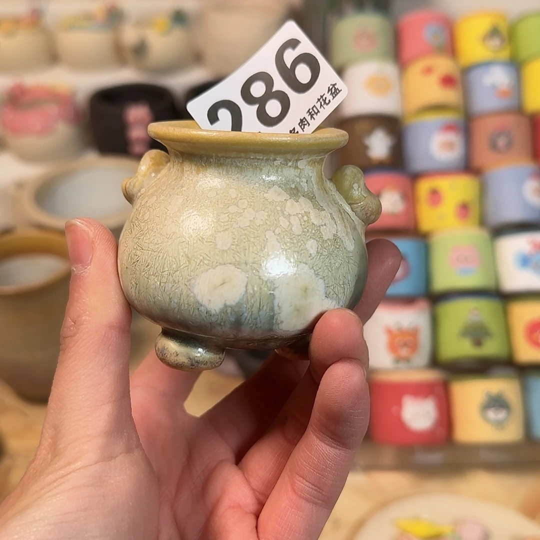 286 口3 福利特惠花盆