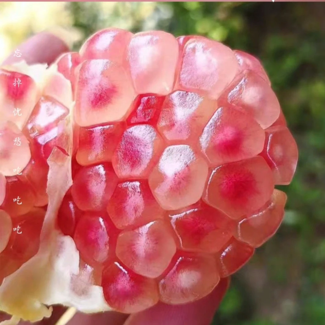 云南软籽石榴当季新鲜水果鲜甜多汁无籽饱满