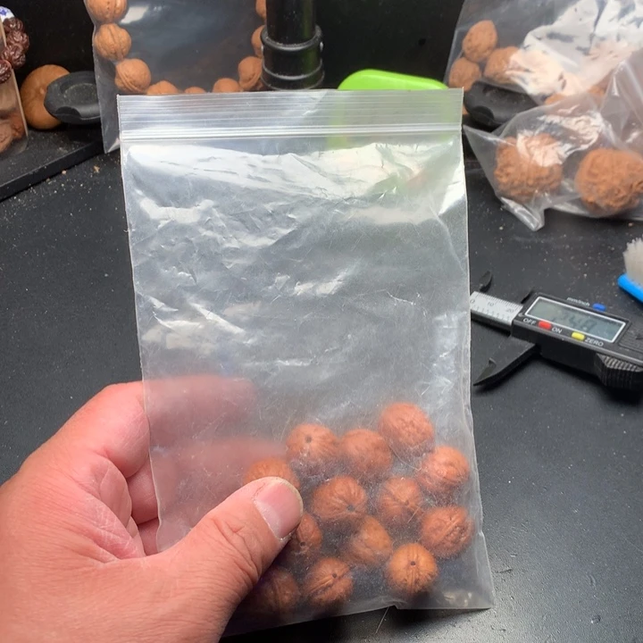 桃核吊坠小*虫野生精品小核桃散籽