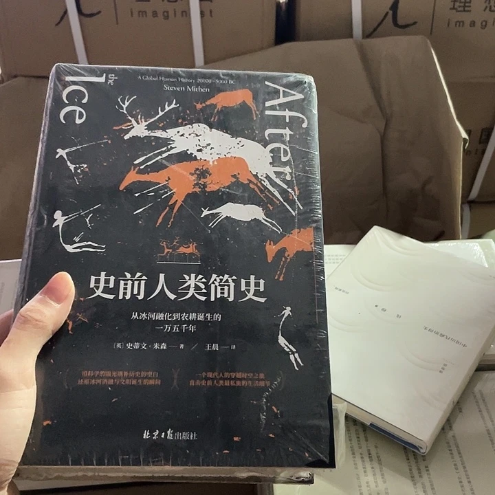 史前人类简史：微瑕