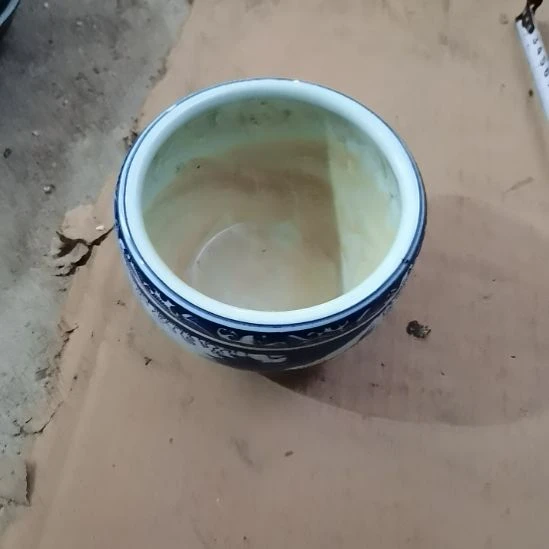 瓷片玩玩具枪毙吧热热的要死