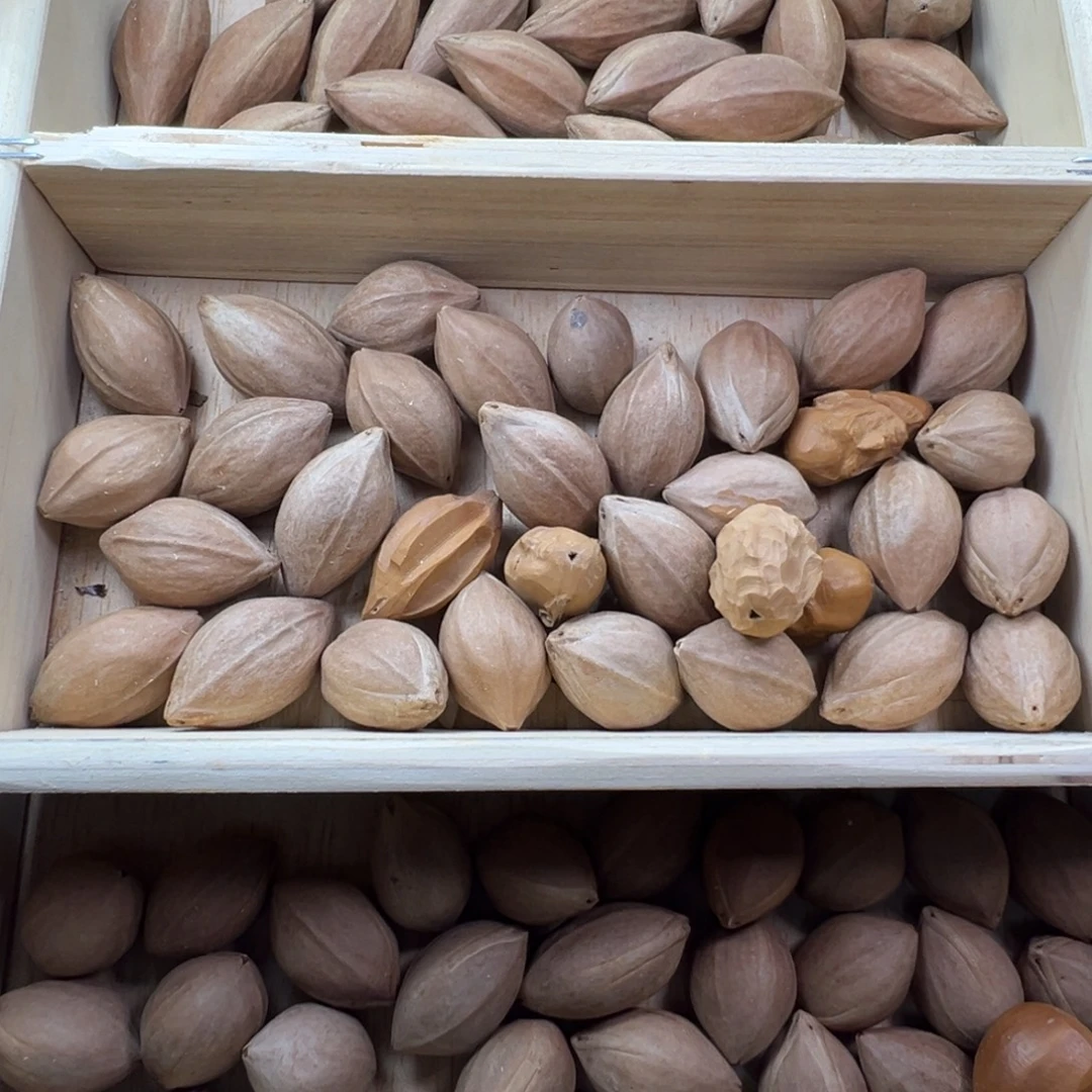 橄榄核手串/手链1.6-1.9+的长中短三合一橄榄核原料一斤