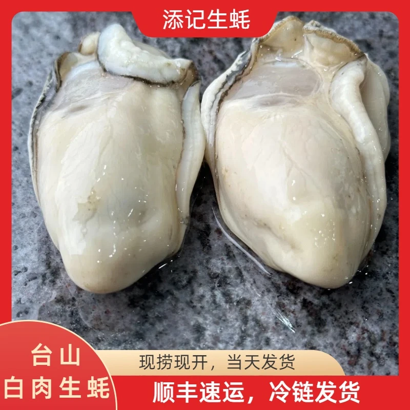 台山白肉生蚝2斤起【中蚝】鲜活爽脆