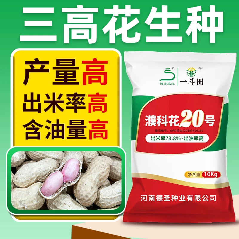【10袋组合装】濮科花20号花生种子优质高产含油量高薄皮抗叶斑病