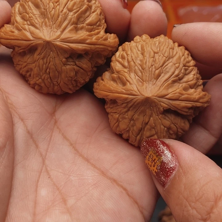 核桃泥鳅背42尺核桃