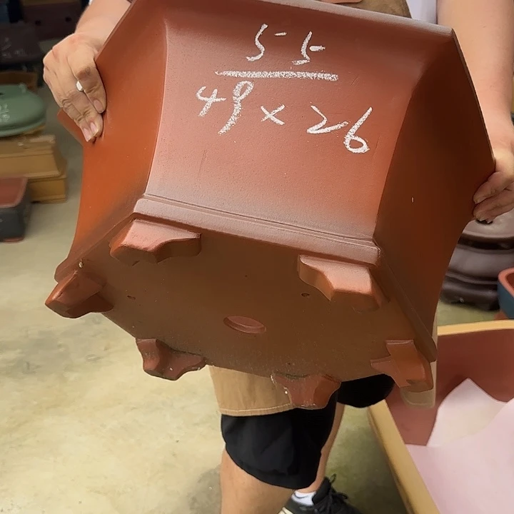 这是什么神仙爱情