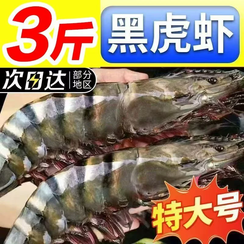 25年新品黑虎虾1620规格 净重三斤30只左右 顺丰包邮