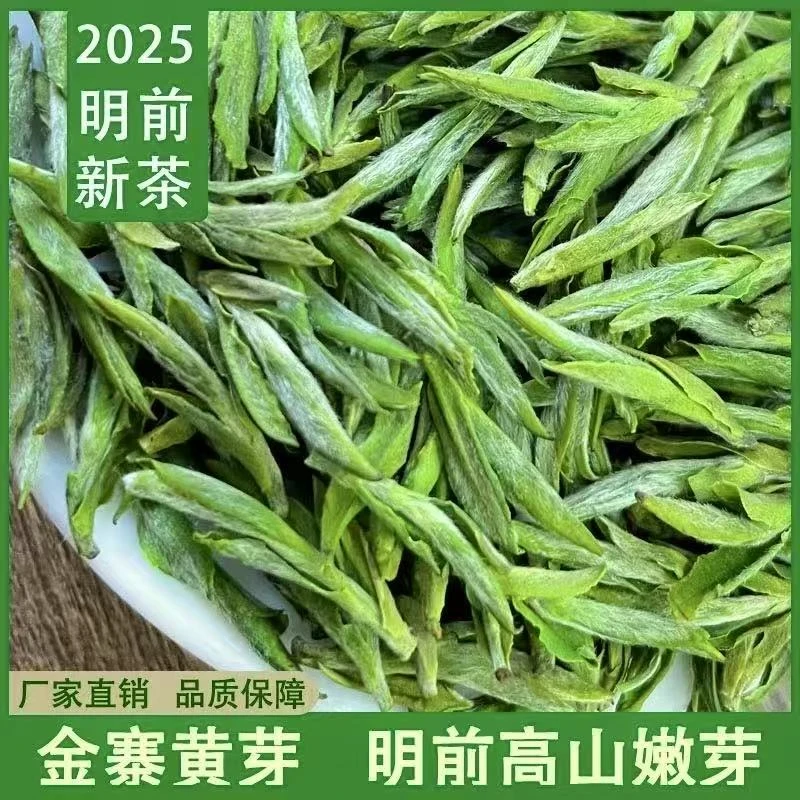 【黄芽A21】金寨黄芽明前毛峰茶叶商务送礼茶叶茶叶绿茶2025新茶叶