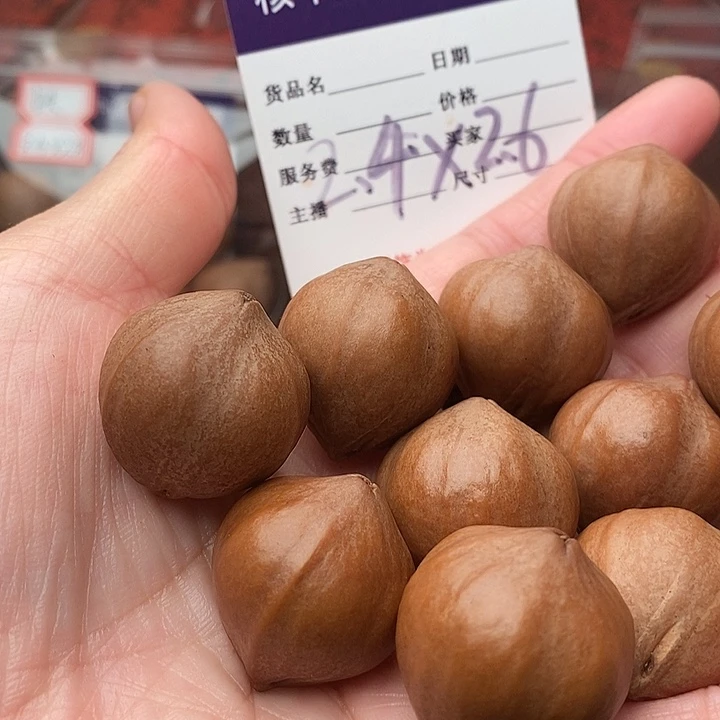 手串/手链橄榄核.****.