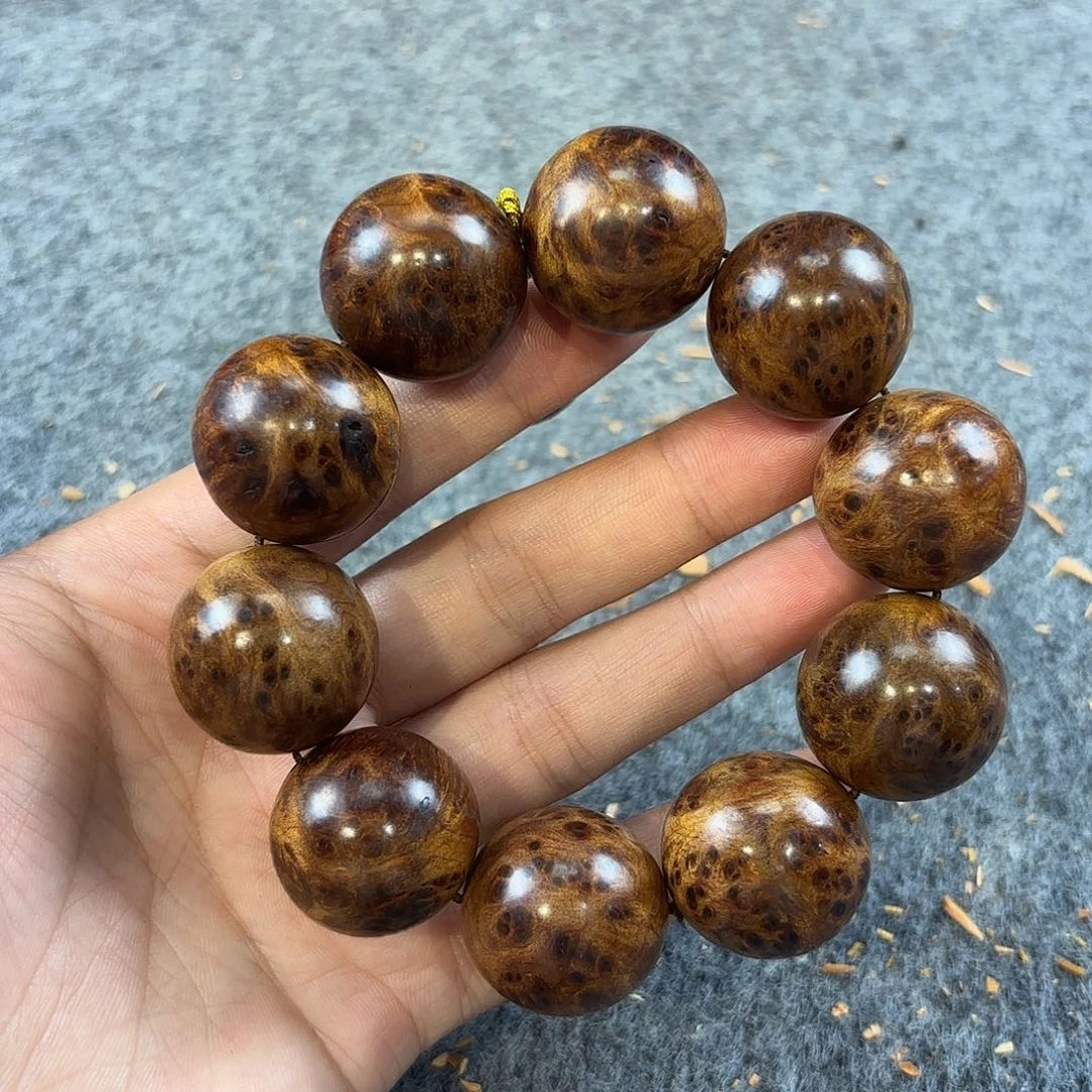 崖柏太行崖柏2.5阴沉雷瘤孤品