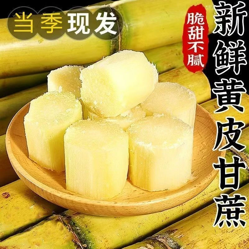 云南新鲜应季薄皮黄金甘蔗现砍现发清甜多汁水果甘蔗（徐）
