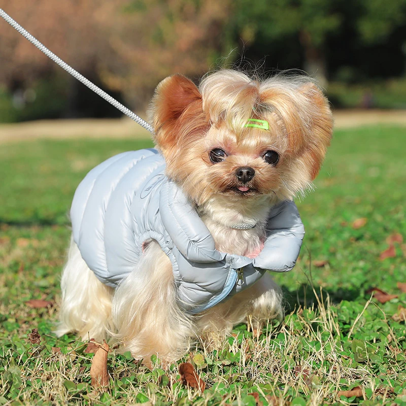 宠物服装小狗衣服两脚羽绒服冬季保暖棉服小型犬马甲背心现货