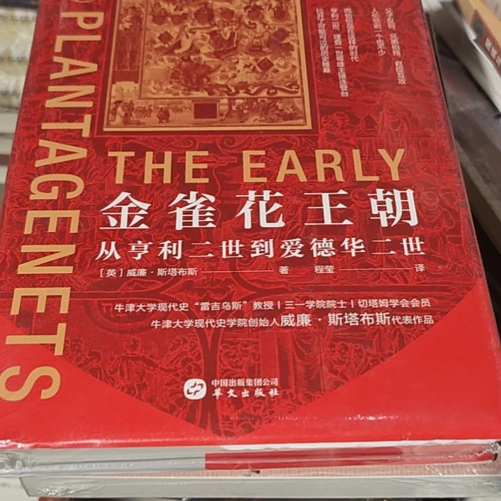 金雀花王朝精装塑封库存书