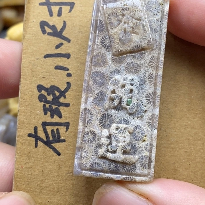 硅化珊瑚（珊瑚玉）未镶嵌颈饰