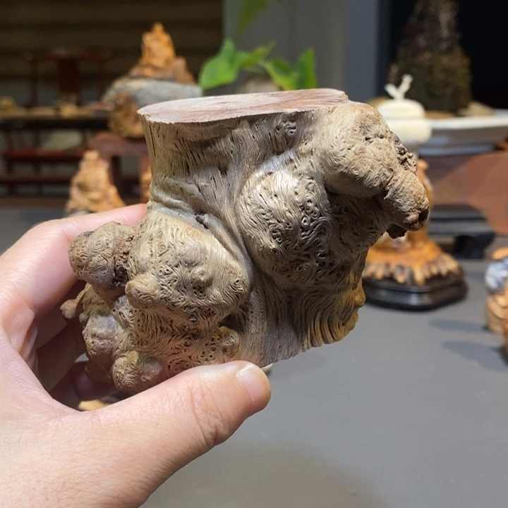 怀***瑜核桃木/黑胡桃（胡桃木）