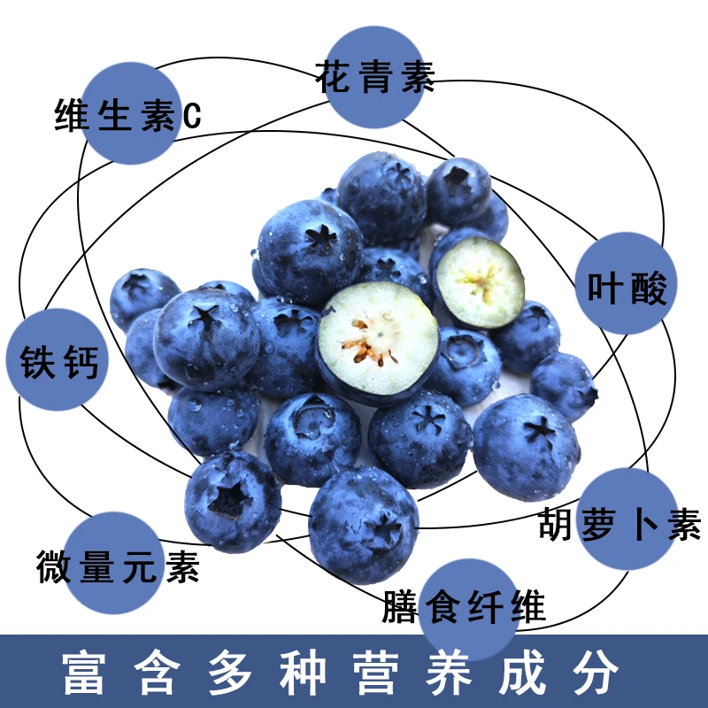 【中果】酸甜露天头茬蓝莓 当季现摘现发孕妈宝宝即食水果 顺丰包邮