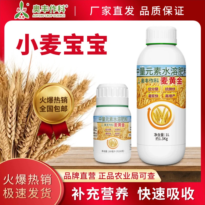 麦子增产专用水溶肥抗寒麦黄金农用小麦茎秆粗壮抗倒伏小麦宝宝