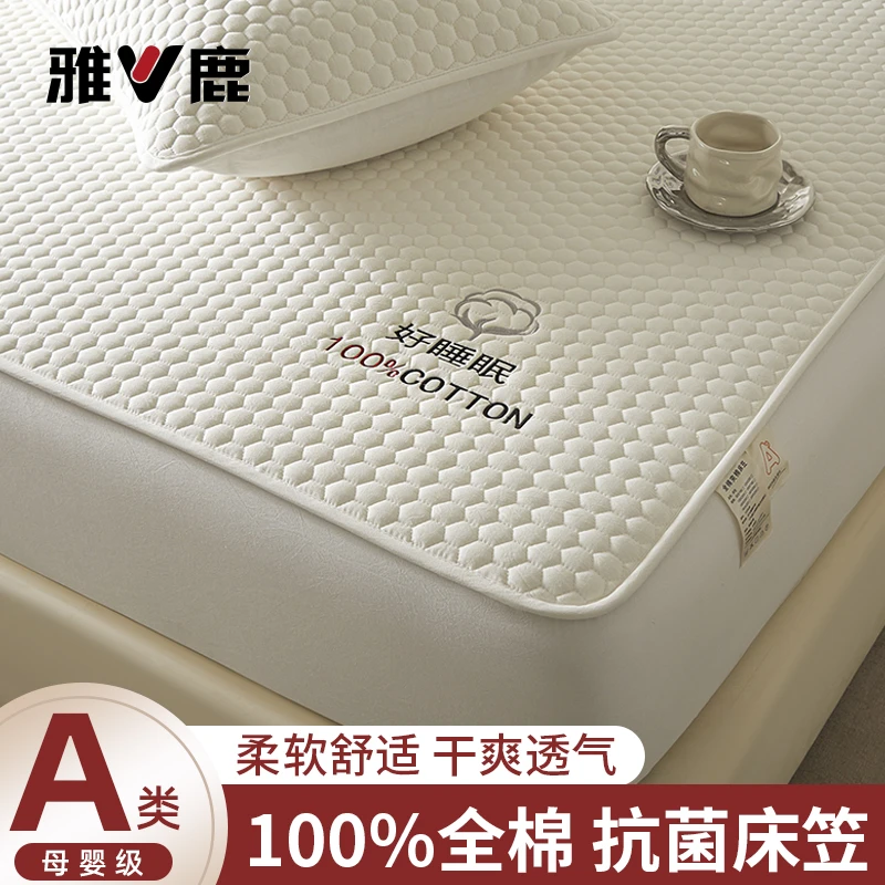雅鹿全棉夹棉床笠罩2025新款四季通用床垫保护套防滑床单人可机洗商品图