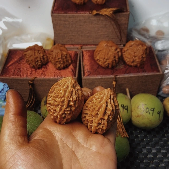 招财鼠全品33.36.46