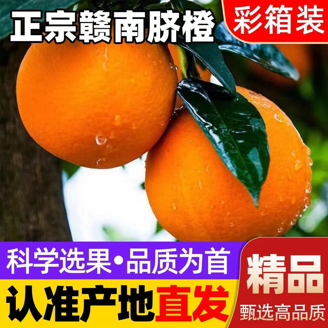 【产地直发】正宗10斤装江西赣南脐橙新鲜现摘应季水果脐橙鲜美多汁