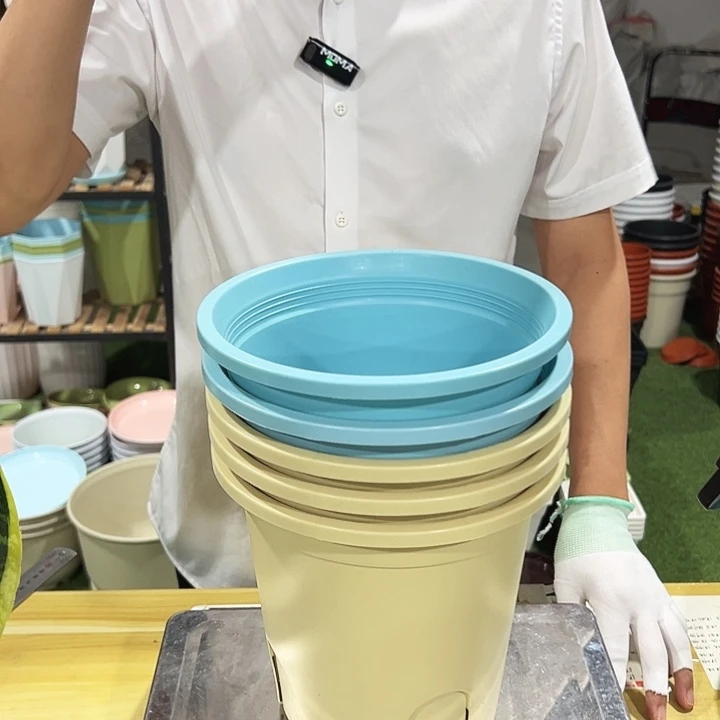 圆控根口21高21混色无托5个