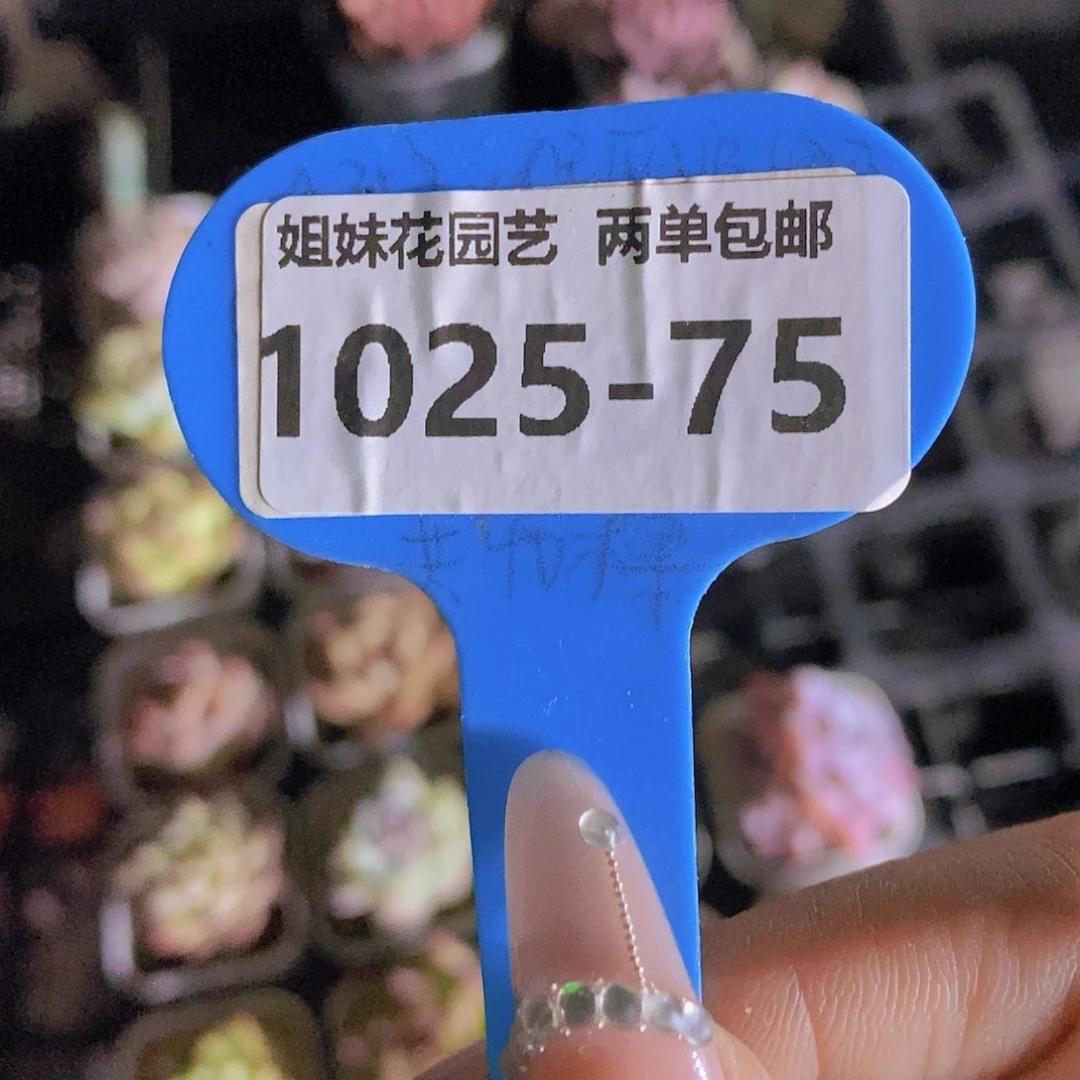 1025-75-惊喜福利组合4颗随机发