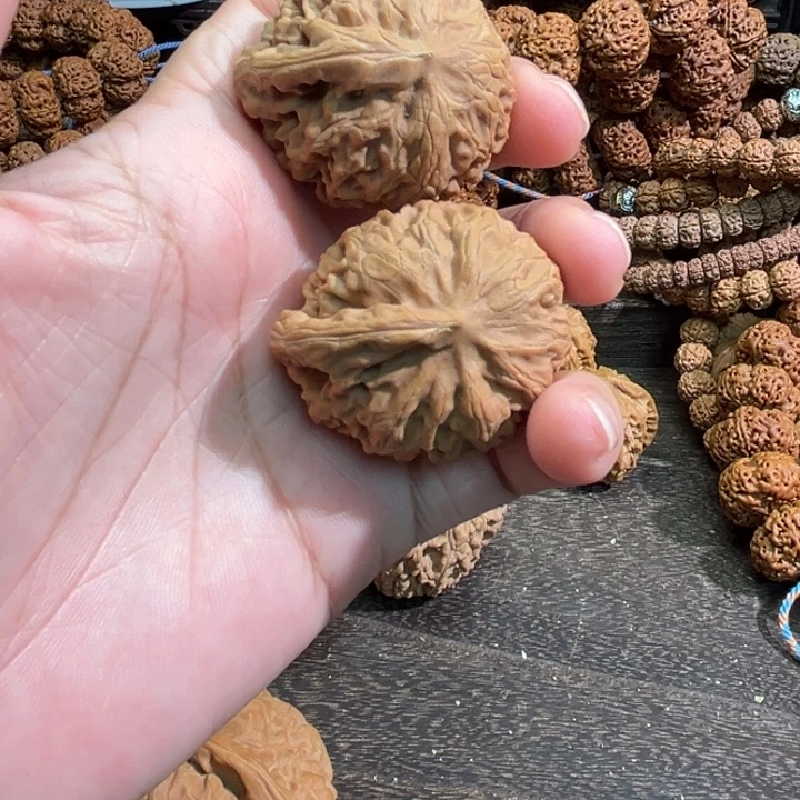 猪***8金刚菩提手串核桃