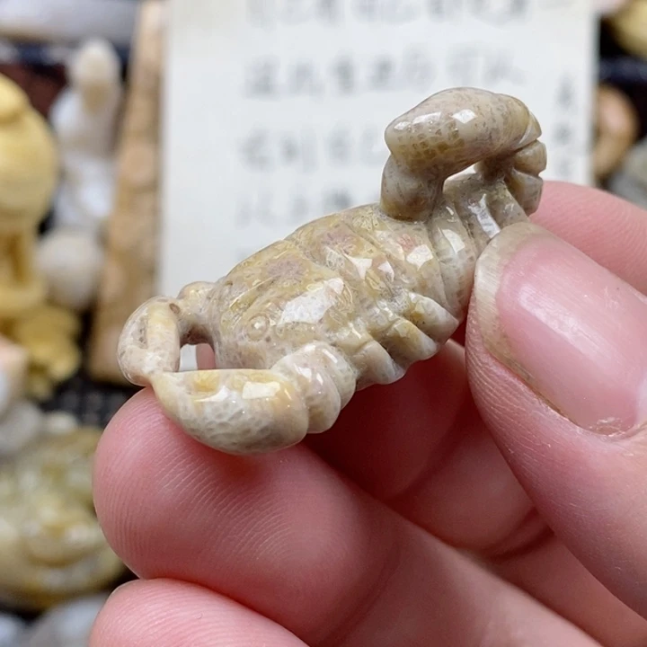 颈饰未镶嵌硅化珊瑚（珊瑚玉）