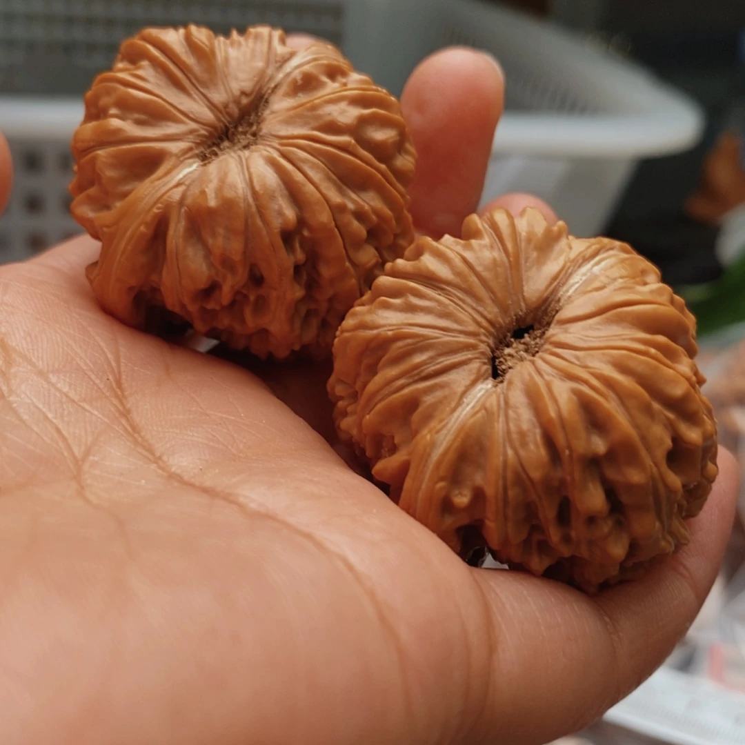 文玩核桃把件水****儿华坤龙