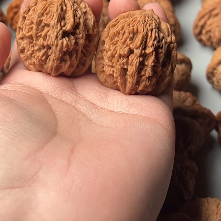 37全品红皮麦穗骨头虎头