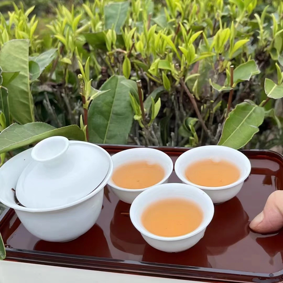 凤凰单丛茶《二代单株古树蜜兰香》