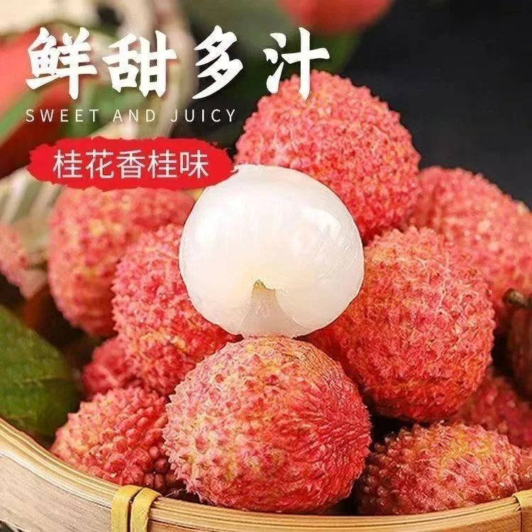 绿野专属【冷链发货】广东老树桂味荔枝现摘现发当季水果产地直发