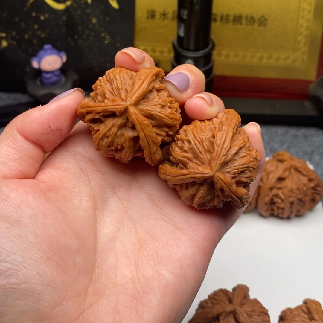 池***源白狮子111111111