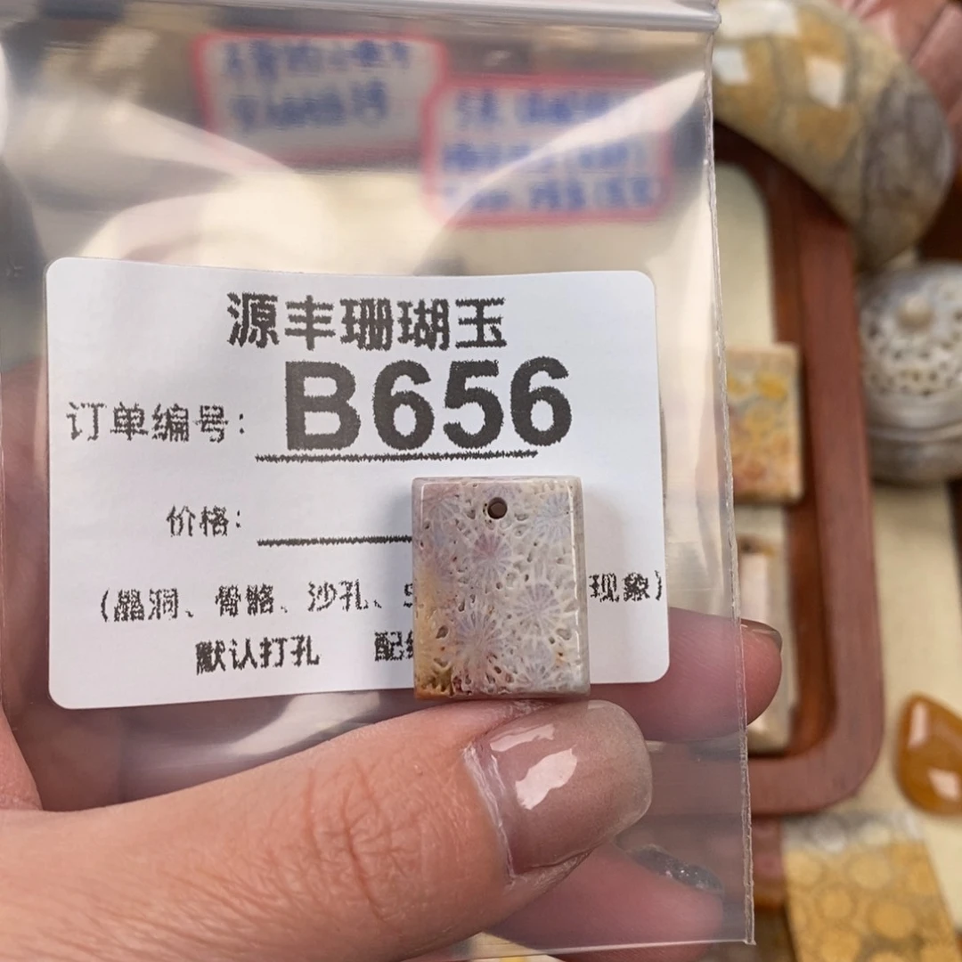 硅化玉颈饰未镶嵌子**月