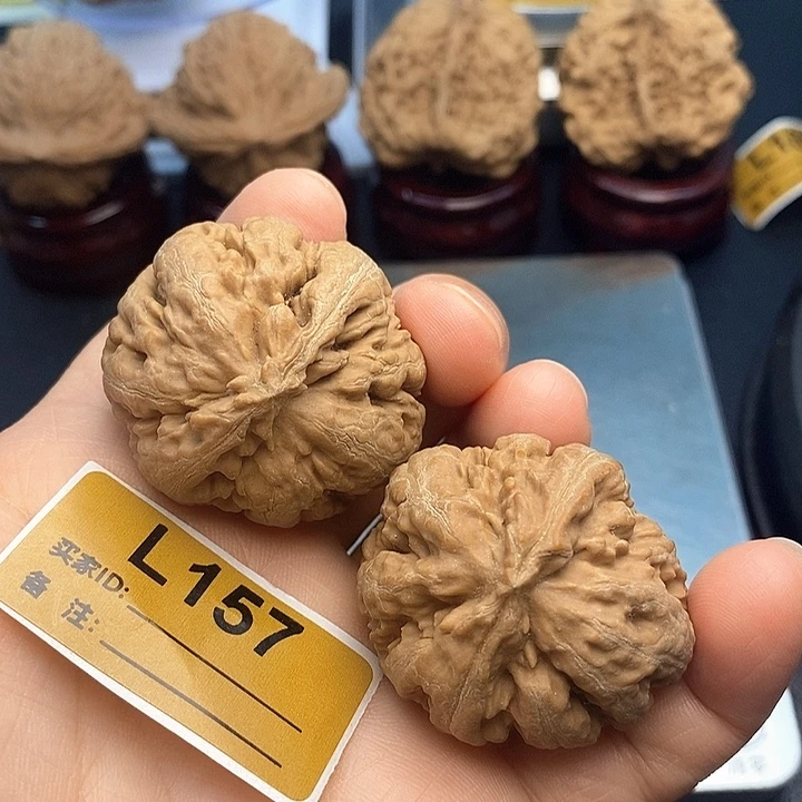 吊坠文玩核桃霸王龙3.7