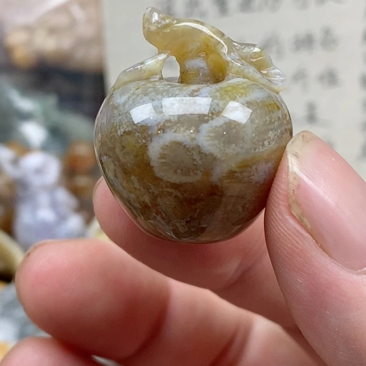 硅化珊瑚（珊瑚玉）未镶嵌颈饰小