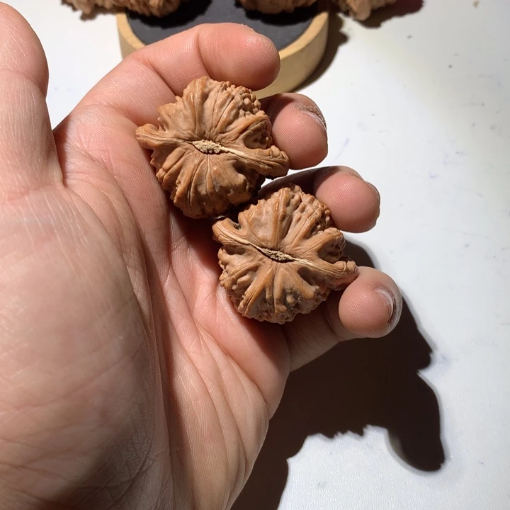 把件文玩核桃民*白狮子