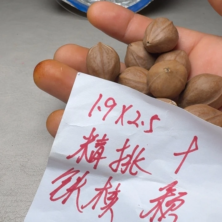 联***哥橄榄核手串/手链橄榄核1.9✖️2.5