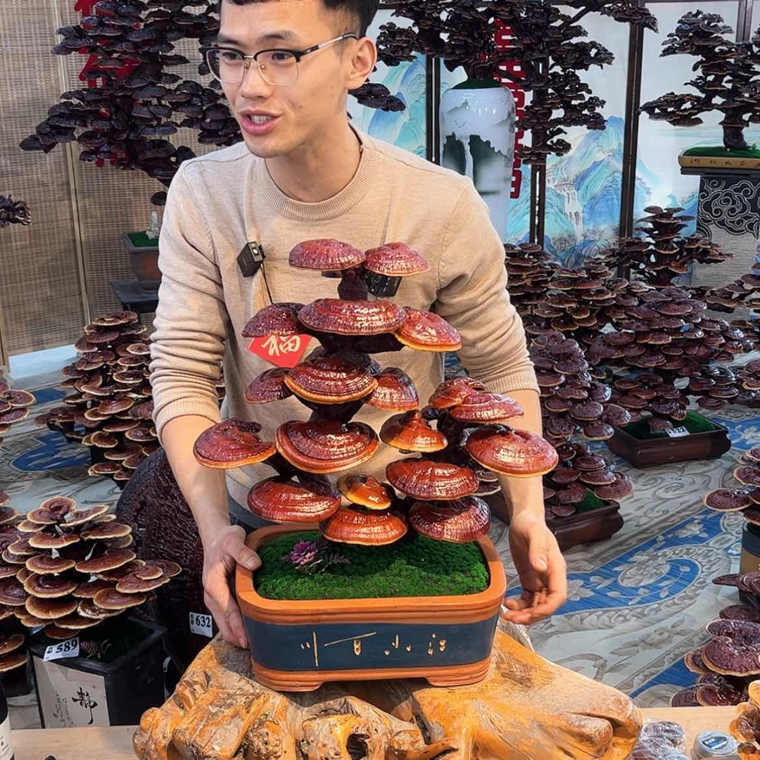 【闪购商品】88888