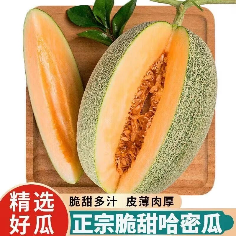 【爆甜多汁】正宗海南哈密瓜新鲜采摘当季新鲜水果网纹瓜冰淇淋瓜
