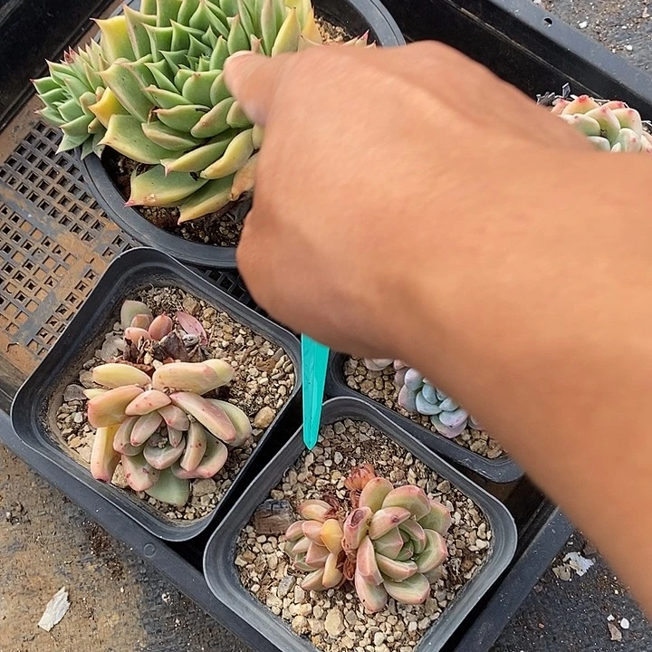 福利一筐哦823049