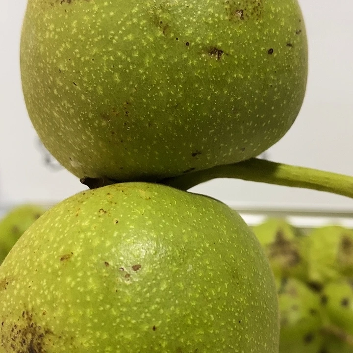 文玩核桃吊坠帝王青皮5个