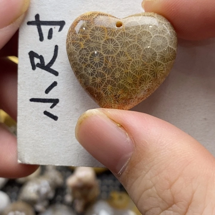 颈饰未镶嵌硅化珊瑚（珊瑚玉）