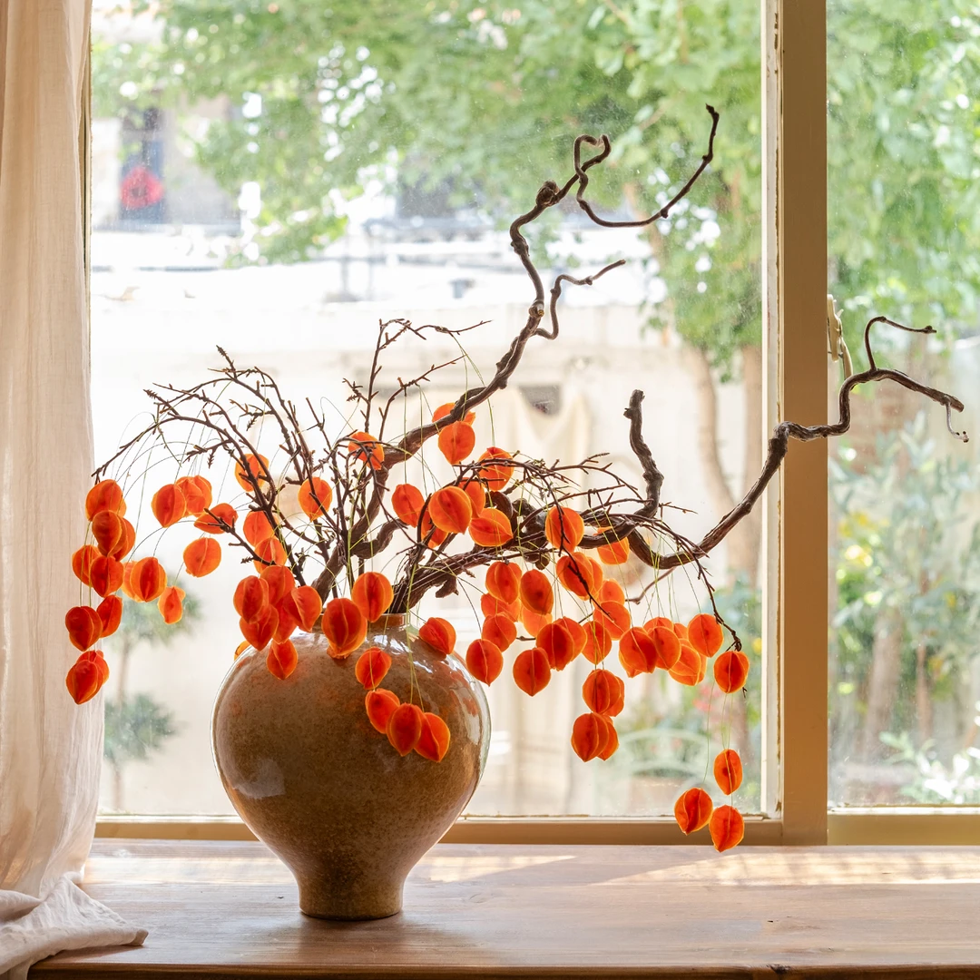 海虹景品红红火火灯笼果仿真花高级感逼真年宵花中古桌面玄关摆件